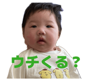 842337020