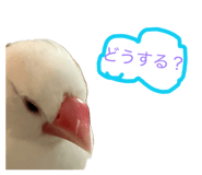 842341153