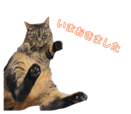 842341157