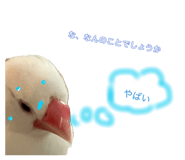 842341159