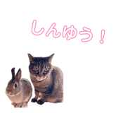 842341163
