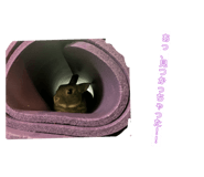842341165