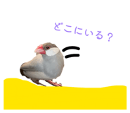 842341167