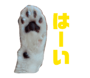 842341174