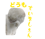 842341175