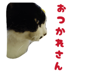 842341176