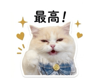 842341369