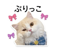 842341376