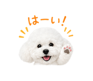 842341562