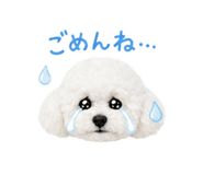842341566