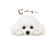 842341575