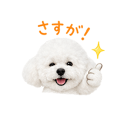 842341577