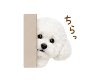 842341578