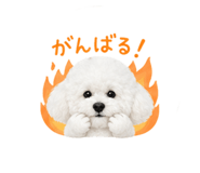 842341580
