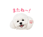 842341581