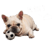 842342168