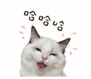 842342681