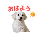 842343145