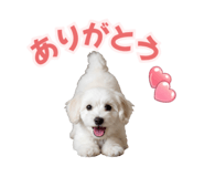 842343146