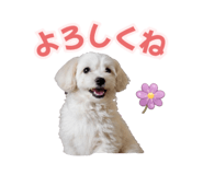 842343154
