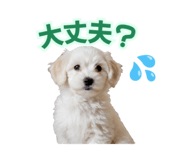 842343157