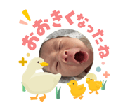 842343220