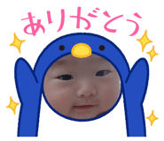 842343244