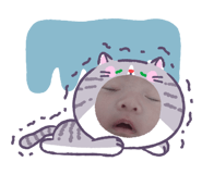 842343246
