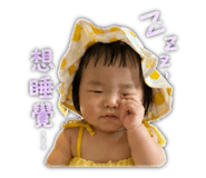 842343303