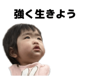 842343856