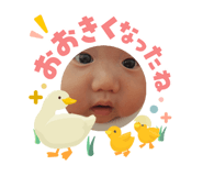 842344101