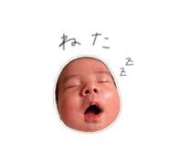 842344106