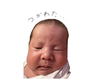 842344113