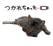 842344179