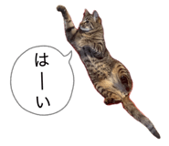 842344184