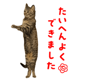 842344187