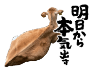 842344190