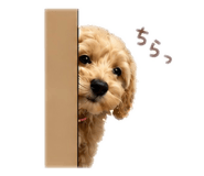 842344271