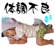 842344304