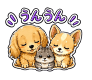 842344331