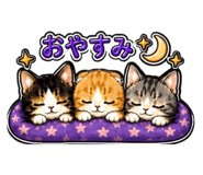 842344367