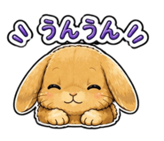 842344379