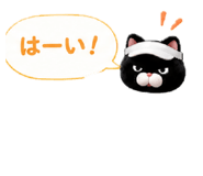 842344533