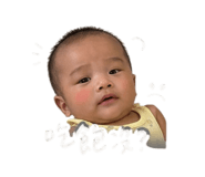 842344844
