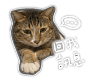 842344960