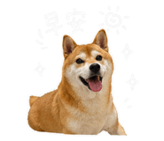 842344993