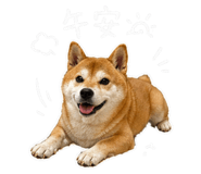 842344994
