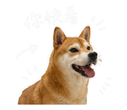 842344996