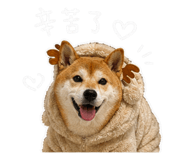 842344998
