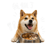 842344999